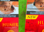 Rokok Ilegal New Humer Merajalela di Madura, Aktivis: Bea Cukai Ibarat ” Can Macanan Kaddu’ “