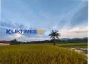 Hari Krida Pertanian Nasional, Momentum Menguatkan Semangat Pelaku Agrikultur Indonesia