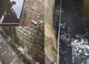 Petugas Kebersihan Pasar Anom Ingatkan Pedagang: Buang Sampah di Tempatnya