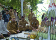 Festival Tete Masa Juluk: Lestarikan Budaya, Gerakkan Ekonomi Lokal