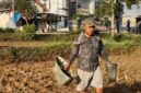 Ach. Farid Zayyadi, Ketua FKPP Sumenep sekaligus Ketua GAKI Jatim (Foto:Klik Times). 