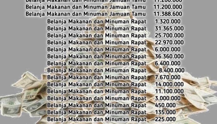 Belanja Mamin Dinsos P3A Sumenep Capai Rp242 Juta, Publik Pertanyakan Efisiensi