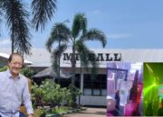 Diduga Berulang Jadi Lokasi Pesta Miras, ALARM Desak DPMPTSP Cabut Izin Mr Ball dan Ancam Lapor ke Polda Jatim