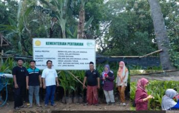 Sumenep Bersiap Jadi Penopang Industri Kelapa Jatim, 115.000 Bibit Bersertifikat Disediakan Untuk Dukung Hilirisasi