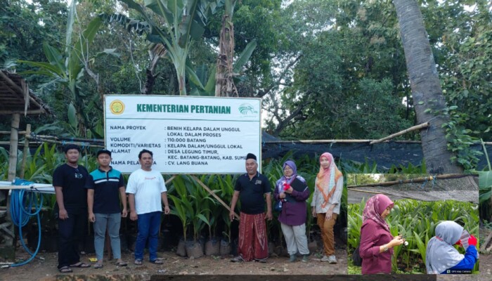 Sumenep Bersiap Jadi Penopang Industri Kelapa Jatim, 115.000 Bibit Bersertifikat Disediakan Untuk Dukung Hilirisasi