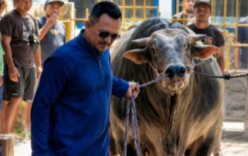 Founder BIP Foundation Ali Zainal Abidin Kurbankan Sapi Jumbo 1,05 Ton untuk Mendiang Ibunda