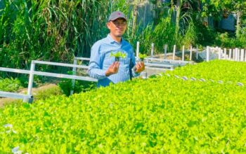 Harga Bahan Pokok Naik, Legislator PKB Pamekasan Ajak Warga Manfaatkan Pekarangan dengan Hidroponik