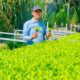 Harga Bahan Pokok Naik, Legislator PKB Pamekasan Ajak Warga Manfaatkan Pekarangan dengan Hidroponik
