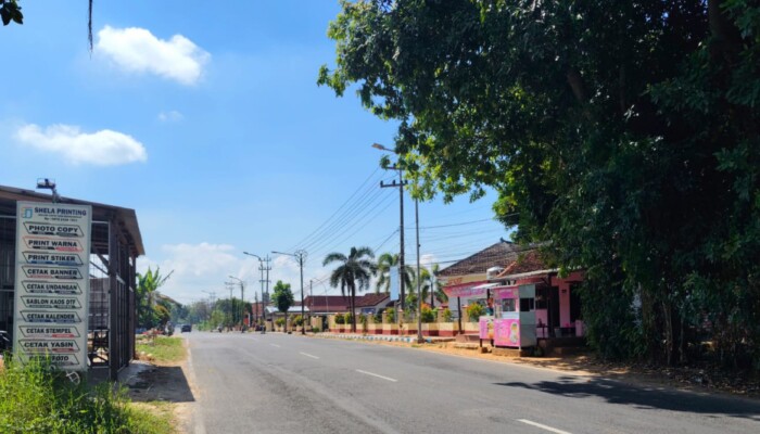 Bea Cukai Madura Ditantang Usut Peredaran Coffee, Big Boss dan Manchester Putih, Nama HS Jadi Perhatian