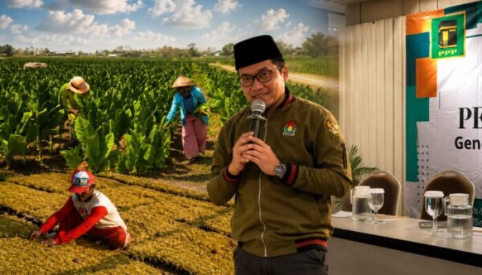 Jelang Panen Raya, PW GMPI Jatim Desak Pemkab Pamekasan Lindungi Petani Lewat Penetapan HET