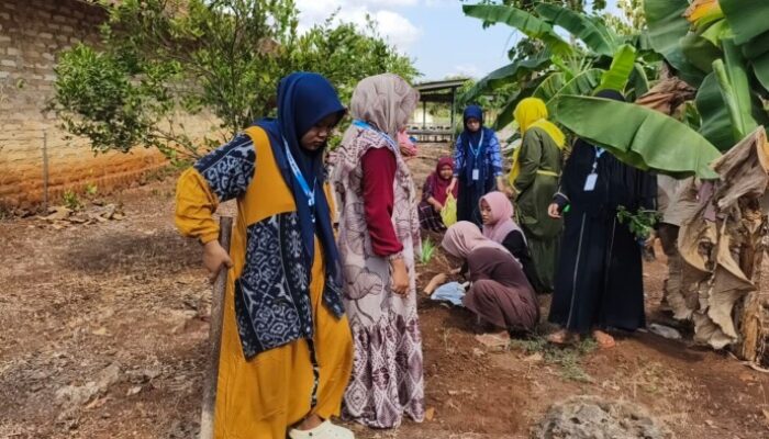 KKN Posko 34 Tanam TOGA di Lingkungan PP Nurul Jadid