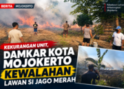 Kekurangan Unit, Damkar Kota Mojokerto Kewalahan Lawan Si Jago Merah