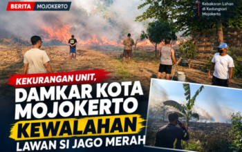 Kekurangan Unit, Damkar Kota Mojokerto Kewalahan Lawan Si Jago Merah