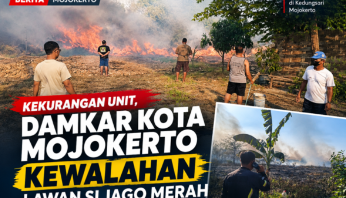 Kekurangan Unit, Damkar Kota Mojokerto Kewalahan Lawan Si Jago Merah
